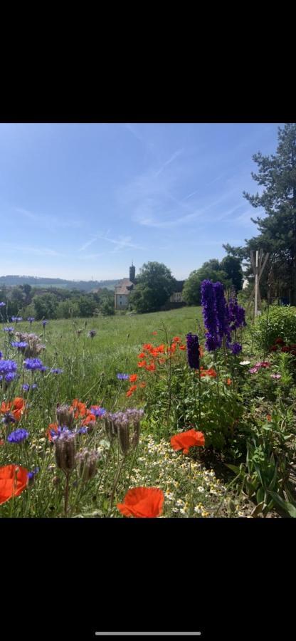 Ferienwohnung Klosterblick Ühlingen-Birkendorf Exteriér fotografie
